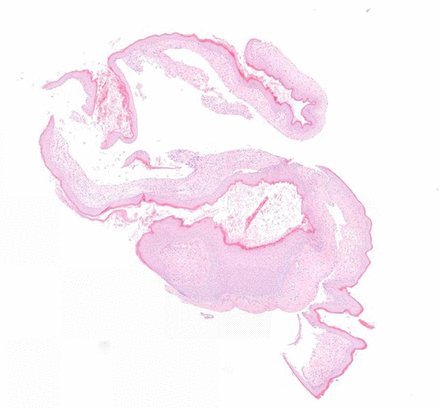 Figure 8