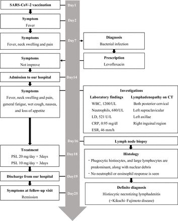 Timeline of clinical progress. CRP, C reactive protein; ESR, erythrocyte sedimentation rate; LO, lactate dehydrogenase; PSL, prednisolone; WBC, white blood cells.