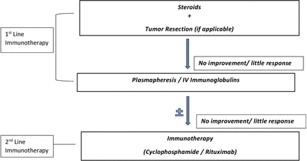 Treatment algorithm for NMDA encephalitis by Shafaq Saleem. IV, intravenous; NMDA, N-methyl-D-aspartate.